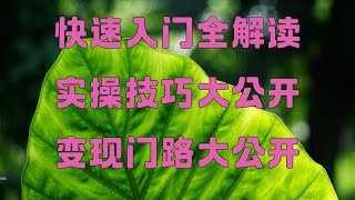 黑U搬砖如何赚钱?新手可操作,单趟收益>1