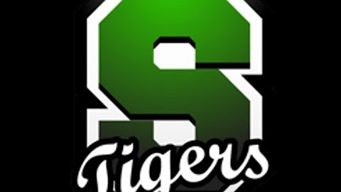 56th Annual South Plainfield District Festival 20250306 YouTube