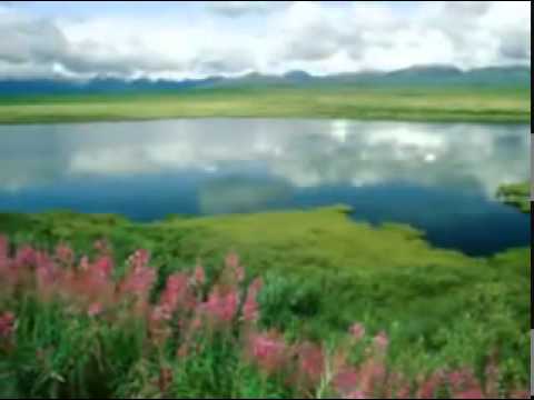 Mezmur Tigrigna Redietey Yonas Haile