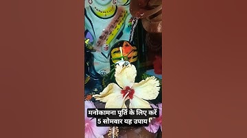 मनोकामना पूर्ति के लिए करें 5 सोमवार यह उपाय#pradeepmishra #shiv #shivmahapuran #shorts #mahadev #yt