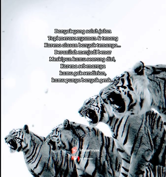 kata kata mutiara macan putih #shorts #status #attitudestatus #story #motivation