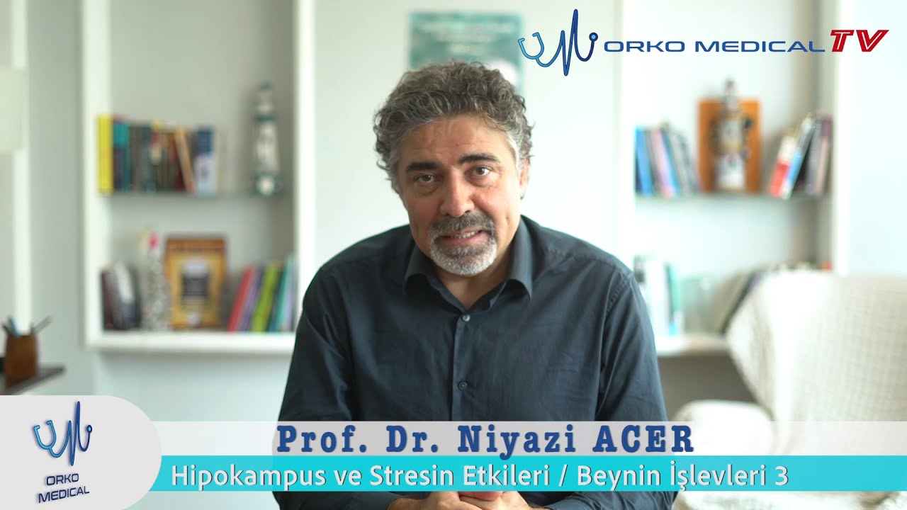 Beynin İşlevleri 3- Hipokampüs ve Stresin Etkileri - Prof. Dr. Niyazi Acer