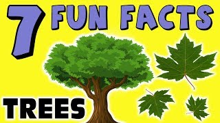 7 FUN FACTS ABOUT TREES! FACTS FOR KIDS! Leaves! Redwoods! Fall! Learning Colors! Funny Sock Puppet!
