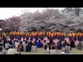京炎そでふれ!彩京前線 京都さくらよさこい2014 府立植物園会場