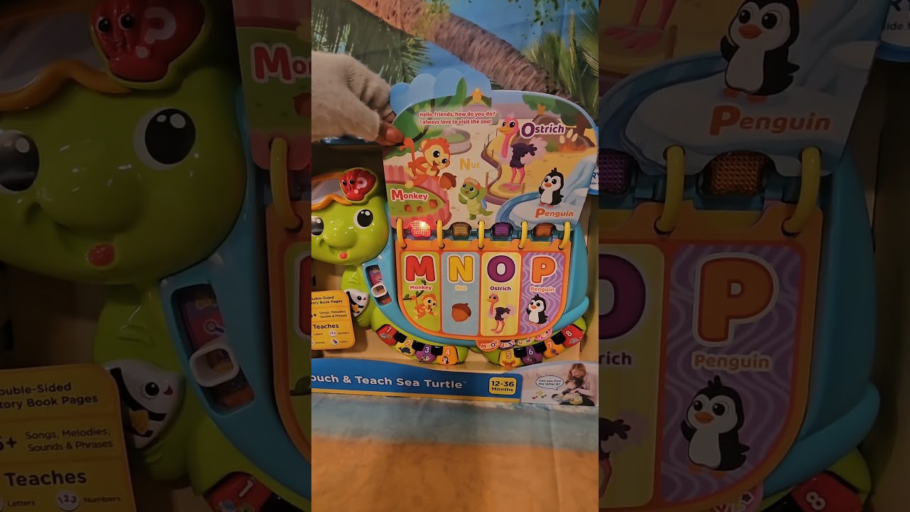 Потрогай и научи морскую черепаху 