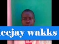 deejay wakks the best of siddy raks