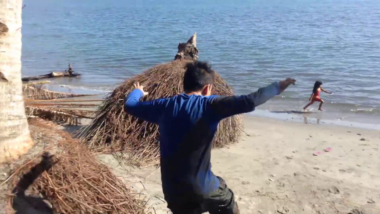 fabulous yellow roman candles YouTube