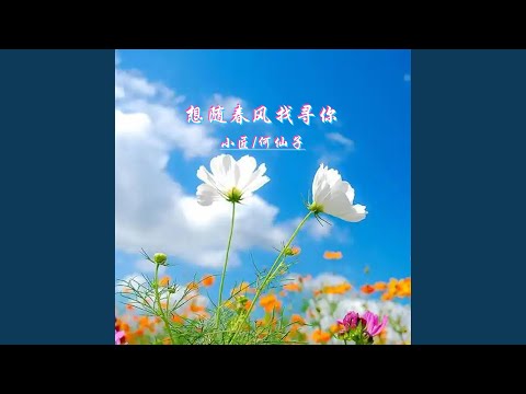 Ver 想随春风找寻你 (DJ版) en YouTube