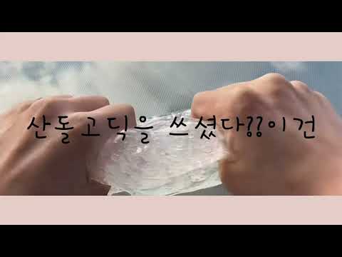 시요님 공론화