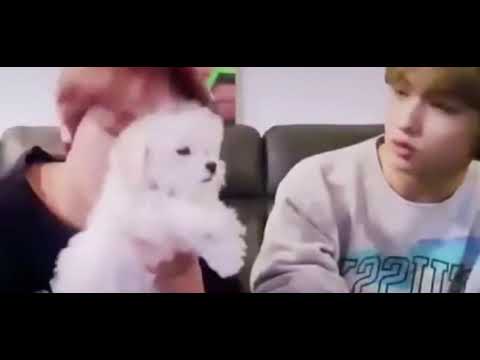 [NCT 해찬 지성] 대갈이가 수건이에요?