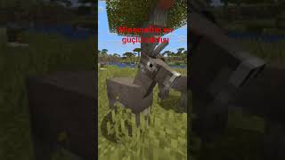 Eşek #minecraft