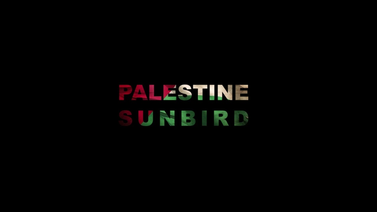 Palestine Sunbird  John Spillane