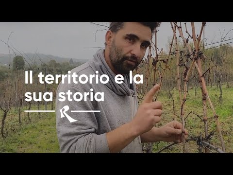 La Casa dei Cini, Umbria - Riccardo Cini racconta la sua filosofia di vignaiolo e la sua terra