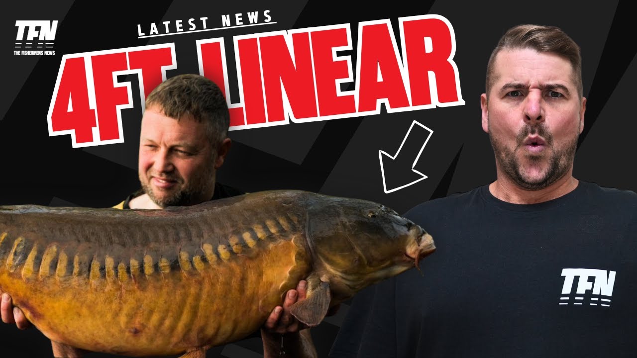 4 Ft Linear | The Fishermen's News | Scott Lloyd