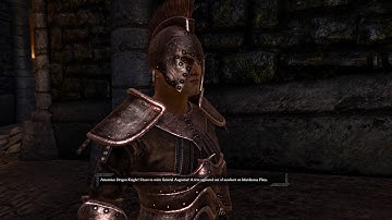 Divinity II: Developer