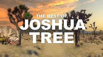 Joshua Tree National Park Travel Guide | Top Favorite Hikes, Best Hiking Trails, Road Trip Video