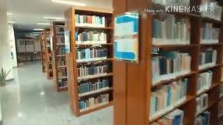 Bat Perpustakaan Usd Kampus Mrican