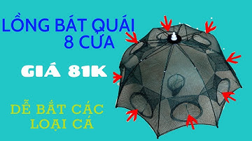 Review Lưới Bát Quái mua ở LAZADA | Móm review