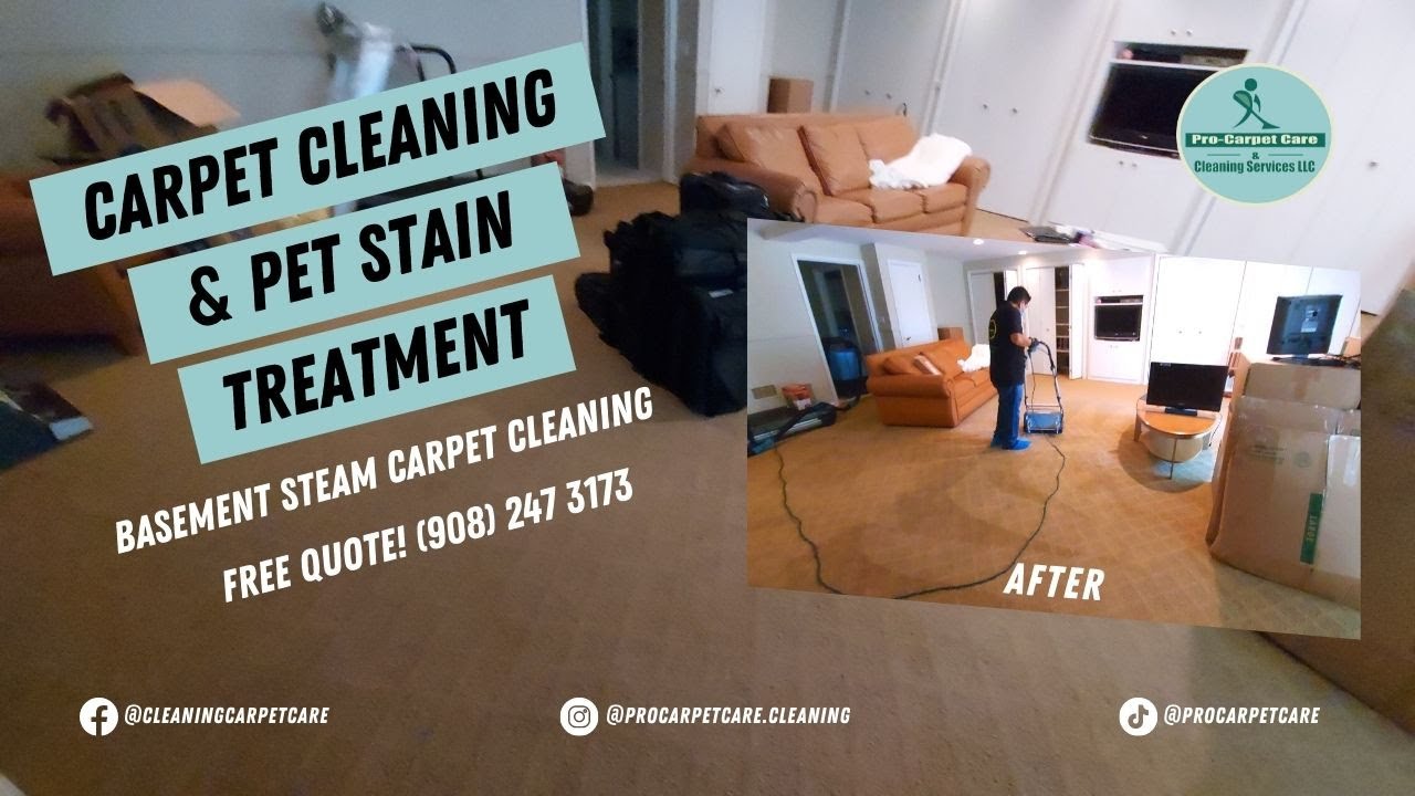 Carpet cleaning & pet stain treatment chatham NJ YouTube