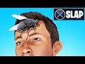 SLAP The FLY On MY FRIENDS FACE! (Funny)