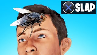 Slap The Fly On My Friends Face Funny