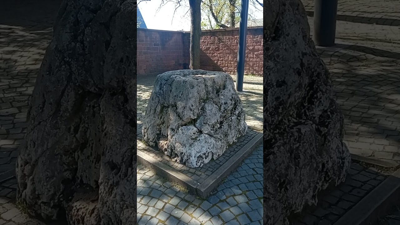 WORMS| SIEGFRIED STEIN 