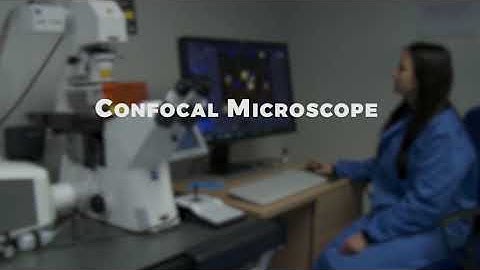 Confocal Microscope