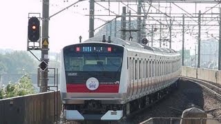 JR東日本 205系武蔵野線用 E233系京葉線20周年HM 舞浜駅 20100727