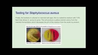 Bergey’s Manual Presentation