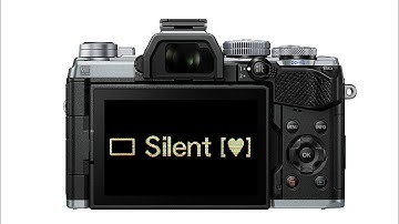 Electronic Shutter Is The Future - But Can You Use It All The Time?