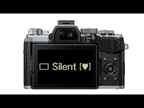 Electronic Shutter Is The Future - But Can You Use It All The Time?