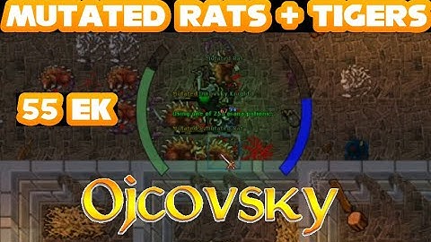 OJCOVSKY - 55 EK Mutated Rats & Tigers - Yalahar Arena Quarter