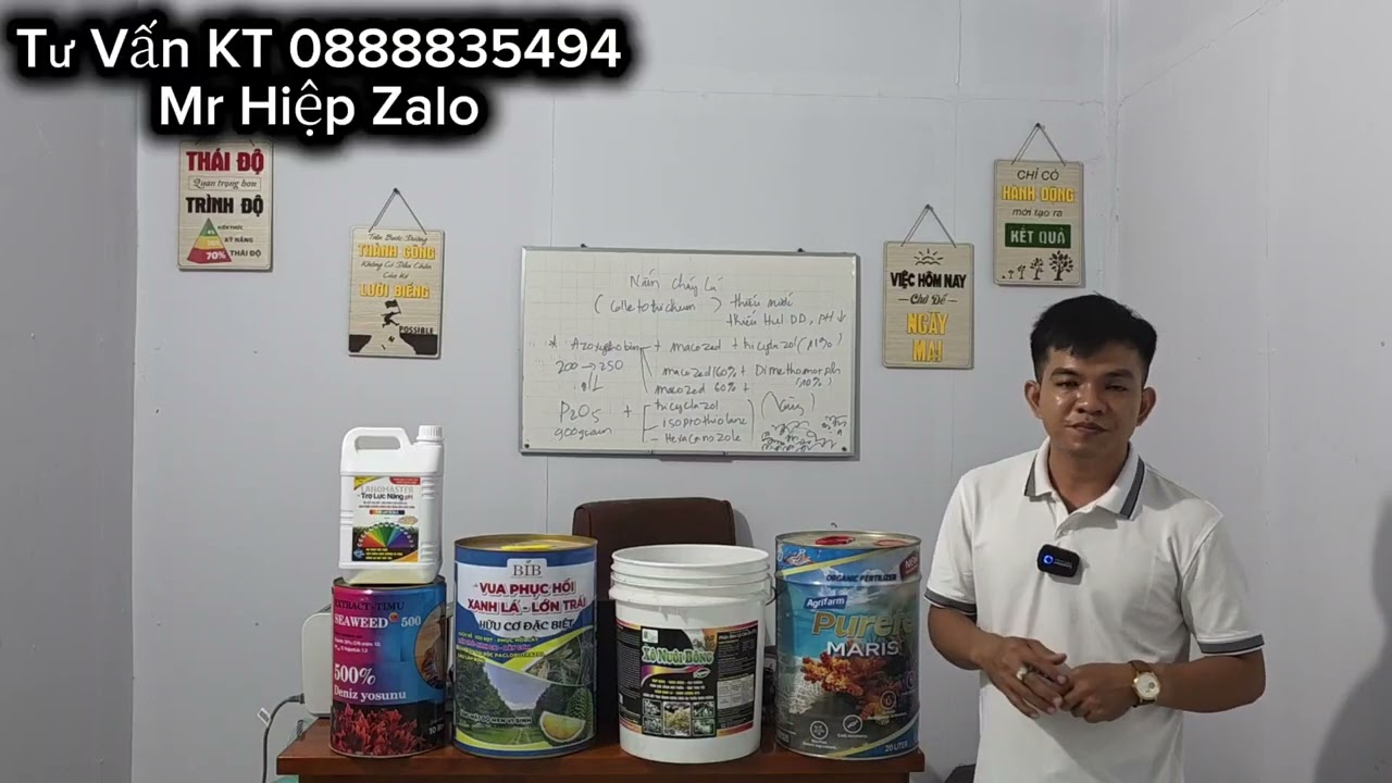 Nuôi Bông Hạn Chế Cháy Lá Mùa Nắng Thay Thế NPK. GIẢM RỤNG LÓNG BÔNG KHÔ BÔNG