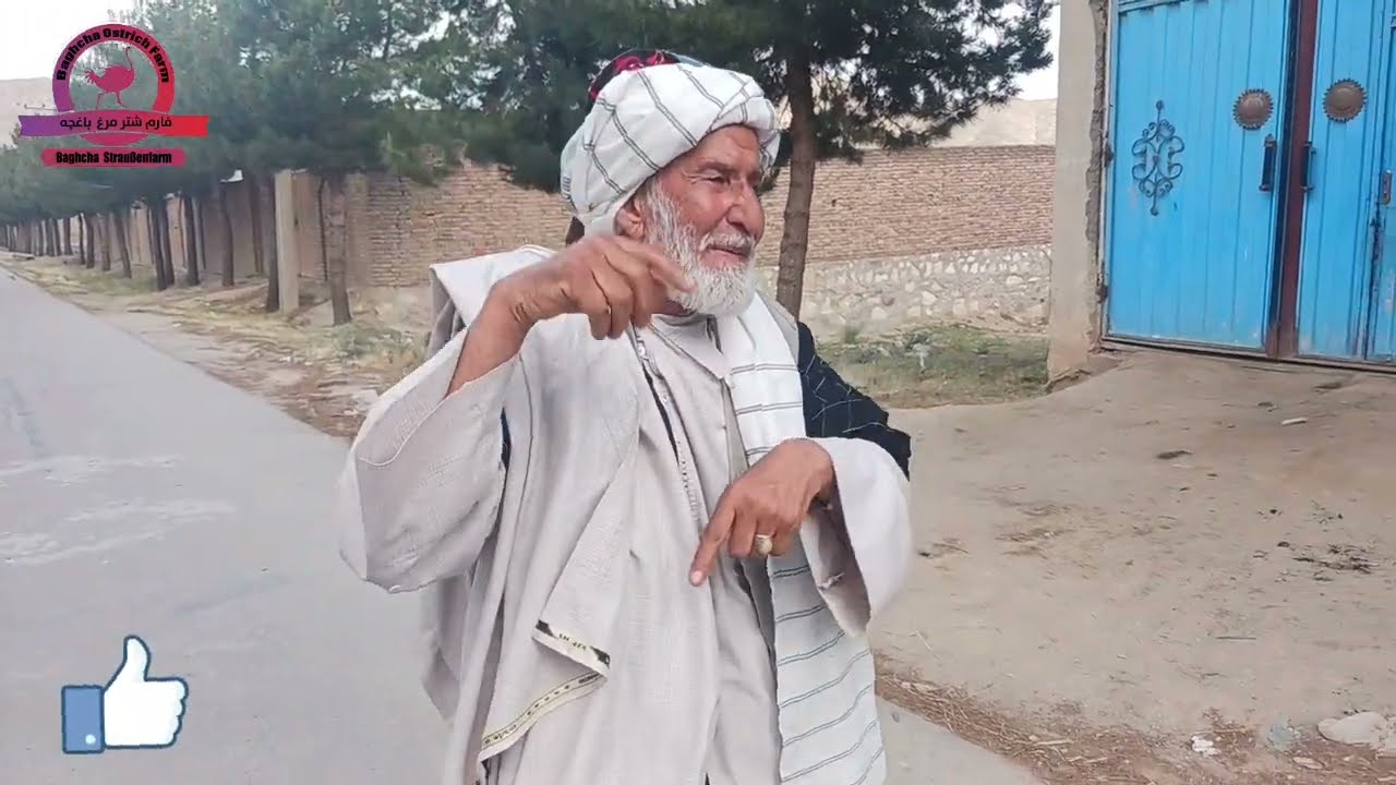 رقص آهنگ بابه سالنگی و میله توت