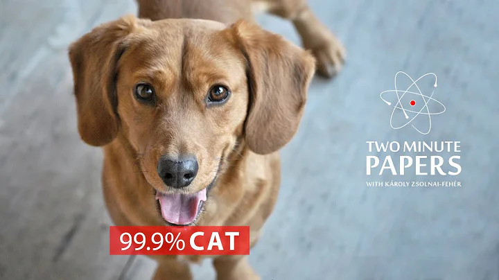 Adversarial Attacks on Neural Networks - Bug or Feature?