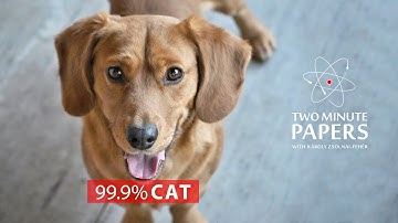 Adversarial Attacks on Neural Networks - Bug or Feature?