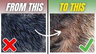 DO'S \& DON'TS | How to Paint Realistic Fur