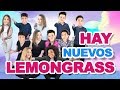 LEMONGRASS | HAY NUEVOS LEMONGRASS