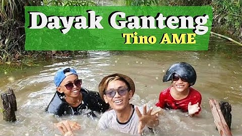Dayak Ganteng - Tinoamee