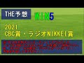 競馬　THE予想　WIN5　2021ラジオNIKKEI賞　CBC賞