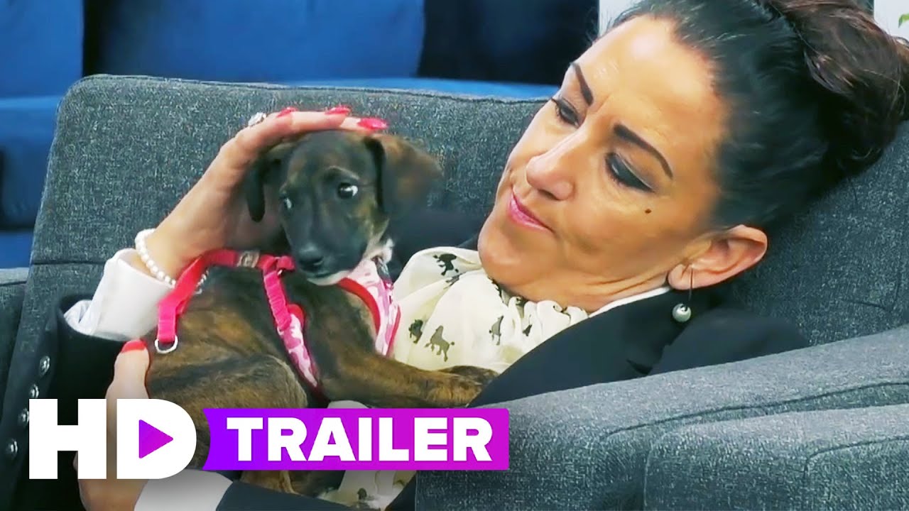THE DOG HOUSE: UK Trailer (2020) HBO Max - YouTube