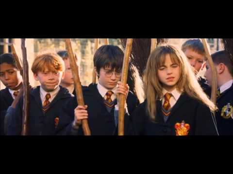 Video: Hvor Mange Harry Potter-filmer?