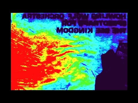 Howling Wolf Orchestra — Howling Wolf Orchestra - "It's A Bad Ticket"