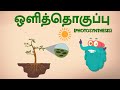 Photosynthesis    sciences in tamil  dr binocs tamil  kids learning