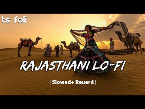 Rajasthani Lo-fi ( Slowed Reuerd TS Music Lover 🎶 ) Viral  2024 💫