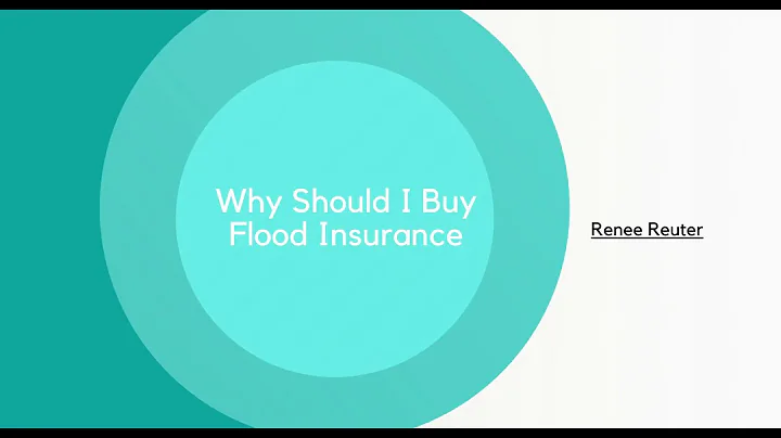 Why Should I Buy Flood Insurance |  Renee Reuter