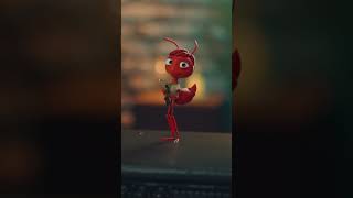 Copac Capsula Sumate