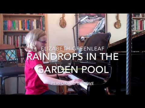 Raindrops in the Garden Pool   Elizabeth Greenleaf