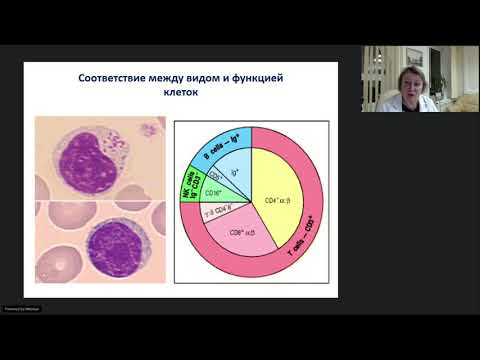 Диффузная B-клеточная лимфома (ДВКЛ). Онлайн-школа 01.11.2021