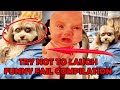 TRY NOT TO LAUGH FUNNIEST FAIL COMPILATION